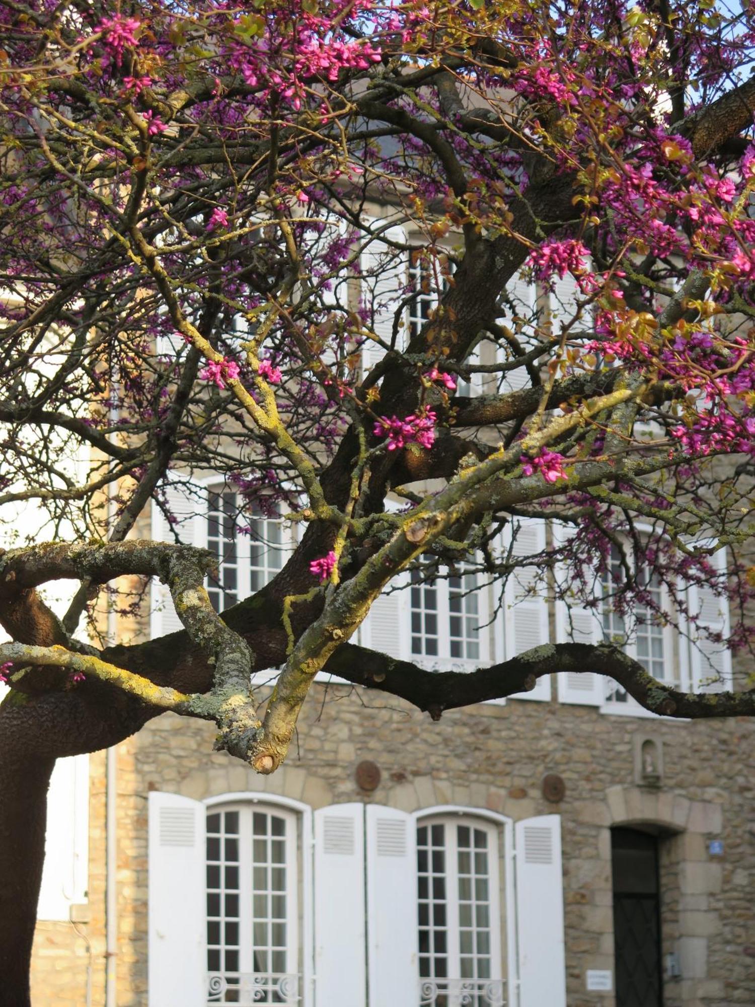 Guest house La Garenne 2*
